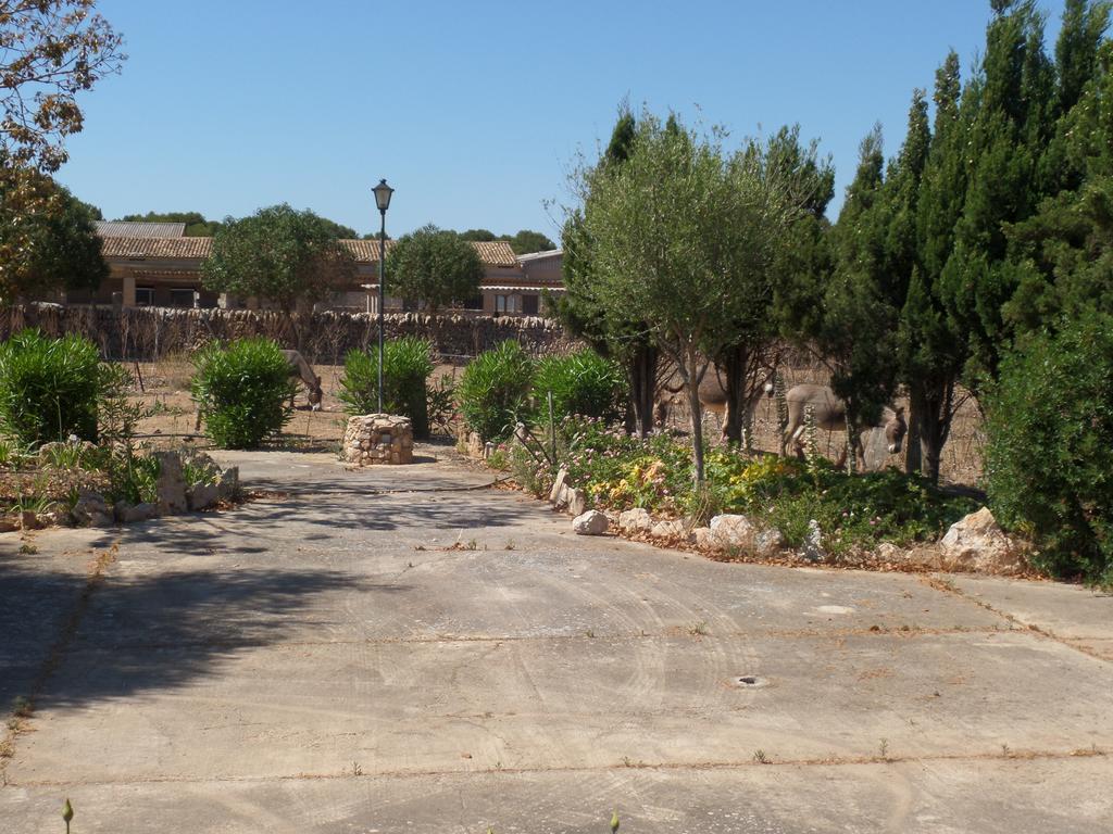 Sa Bassa Crua Agroturismo Sa Torre Dış mekan fotoğraf