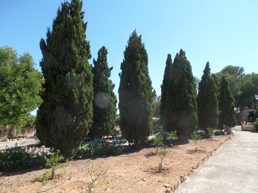 Sa Bassa Crua Agroturismo Sa Torre Dış mekan fotoğraf